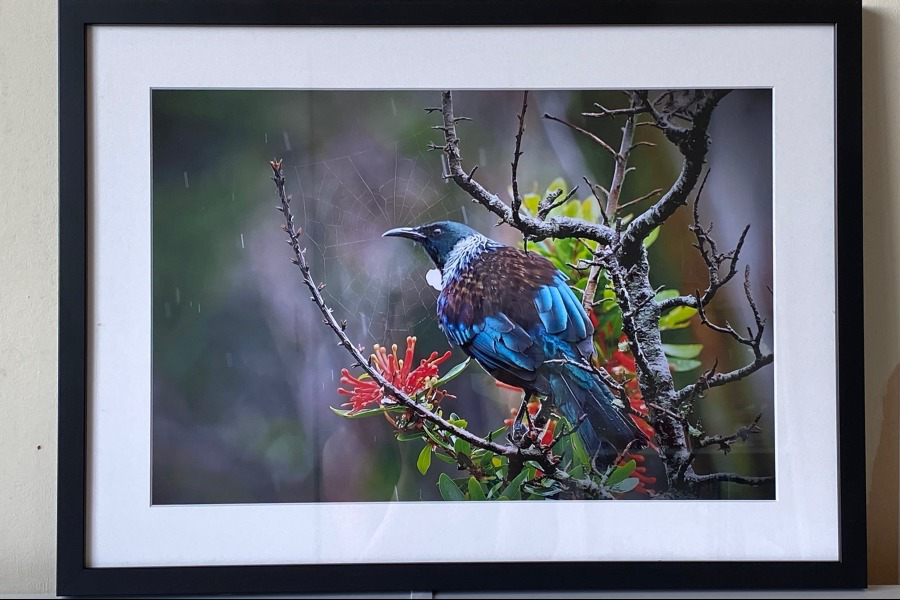 Image of Auction Item