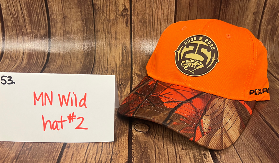 Image of Auction Item