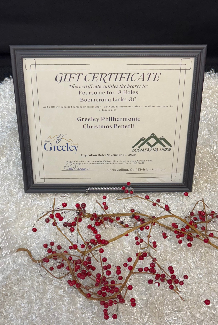 Image of Auction Item