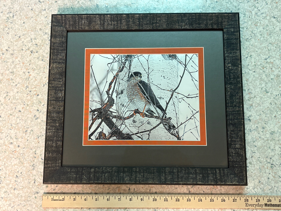 Image of Auction Item