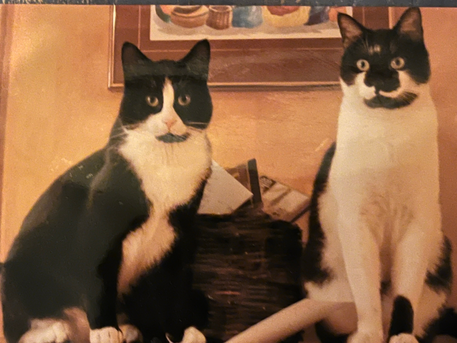 Image of Auction Item