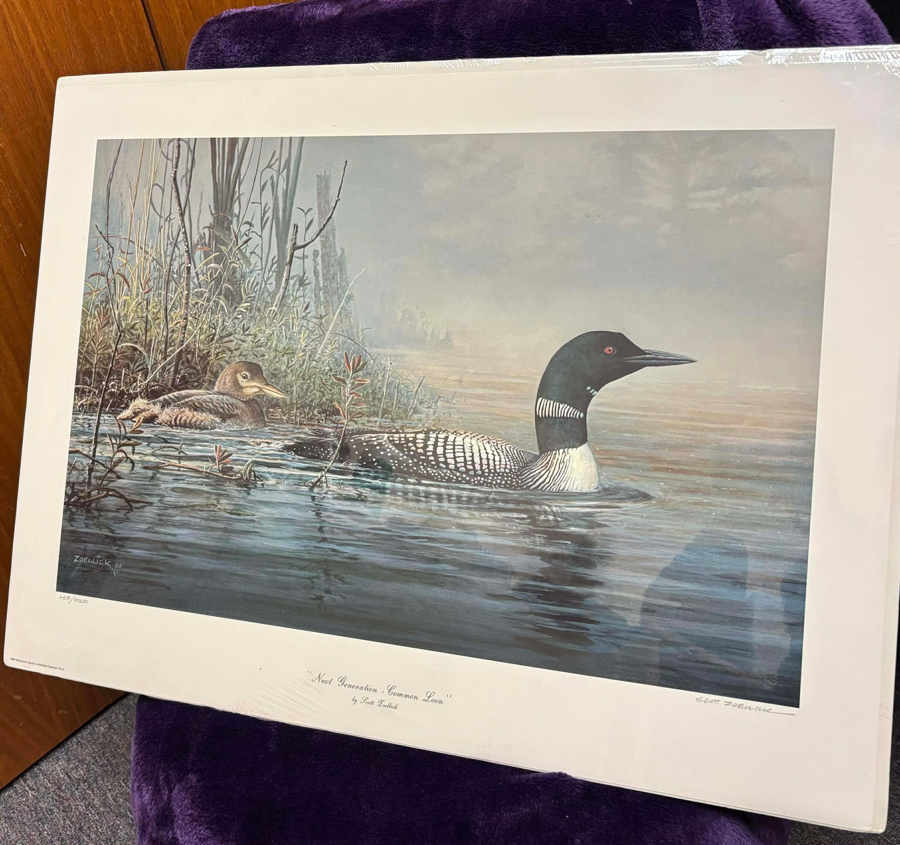 Image of Auction Item