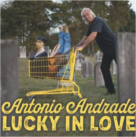 Image of Auction Item