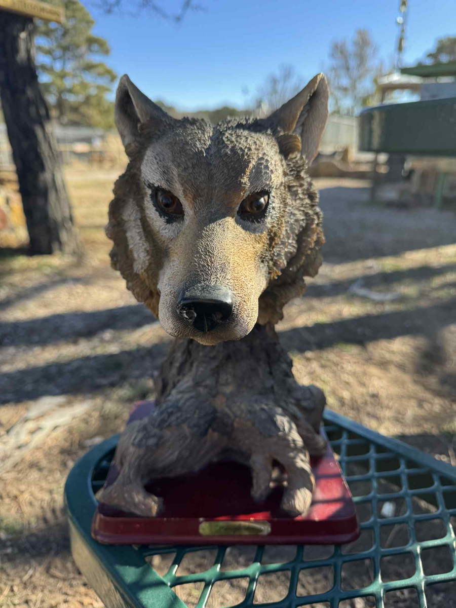 Image of Auction Item