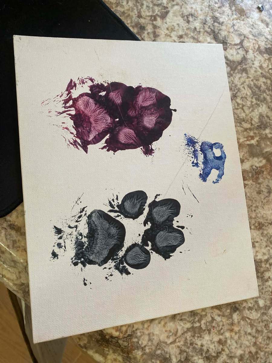 Image of Auction Item