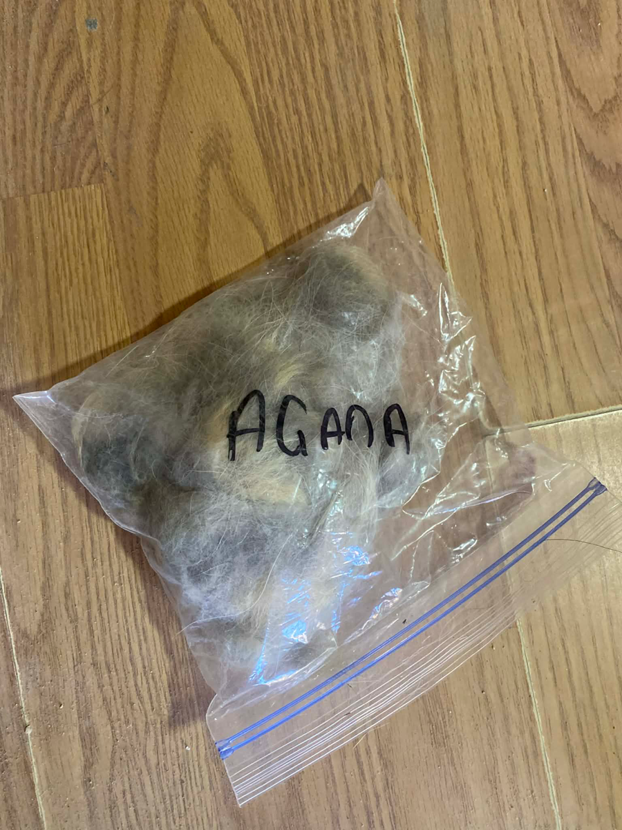 Image of Auction Item