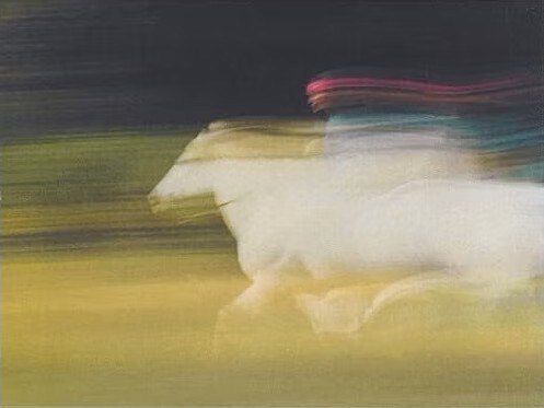 blue figure on a white horse, blurry in an artsy way