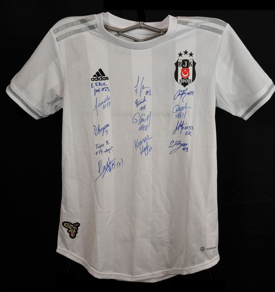 Image of Auction Item