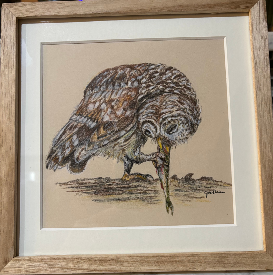 Image of Auction Item