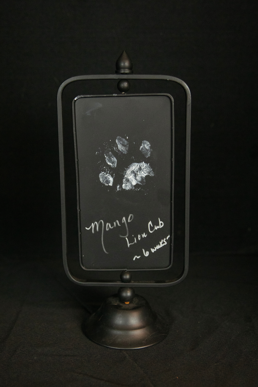 Image of Auction Item