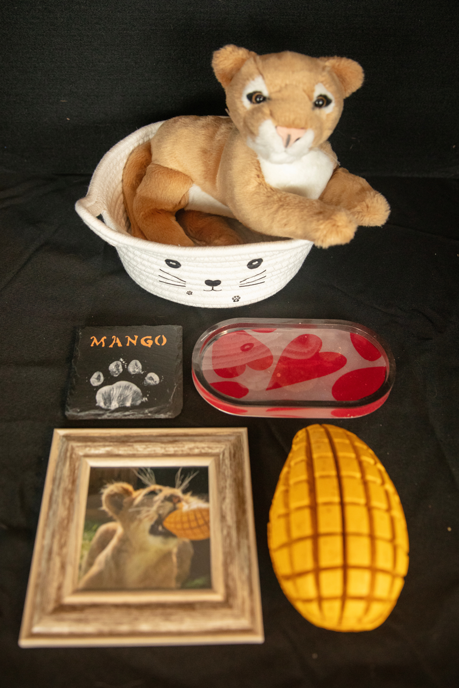 Image of Auction Item