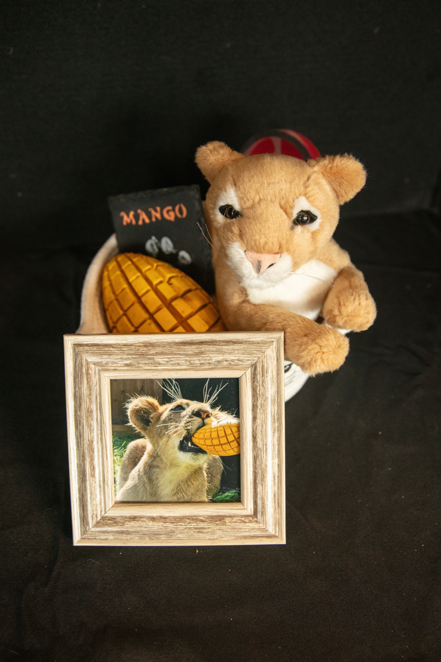 Image of Auction Item