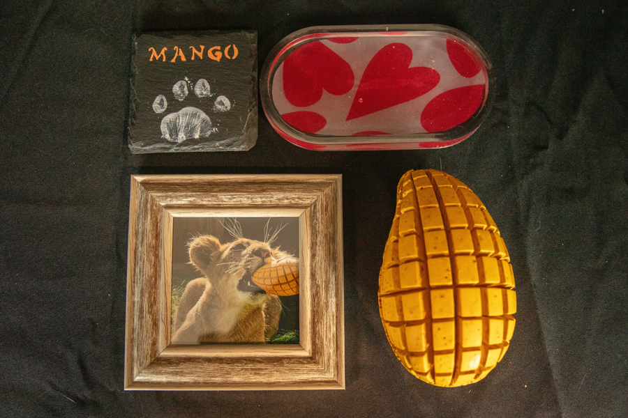 Image of Auction Item