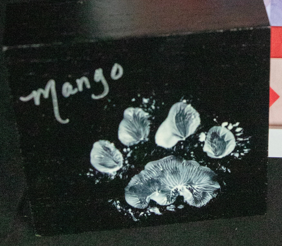 Image of Auction Item