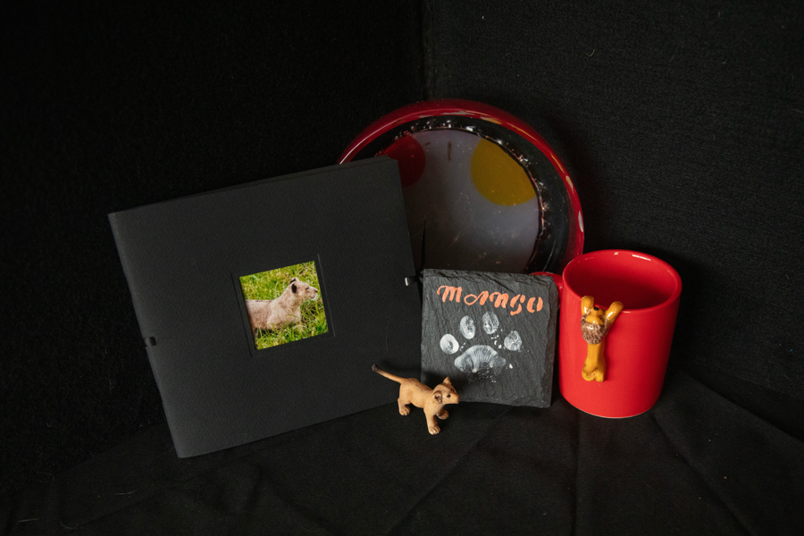 Image of Auction Item