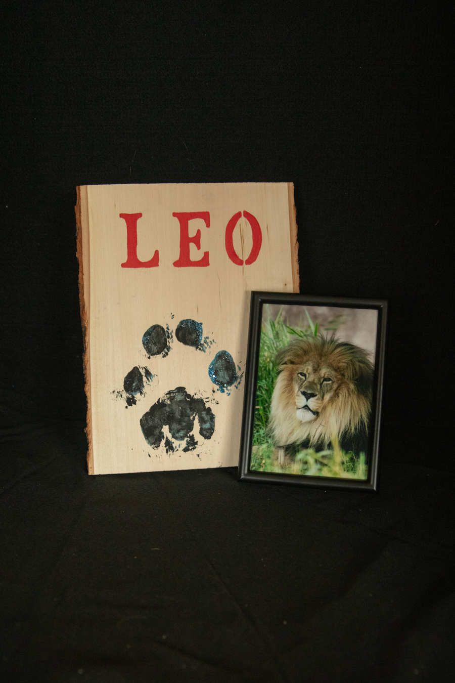 Image of Auction Item