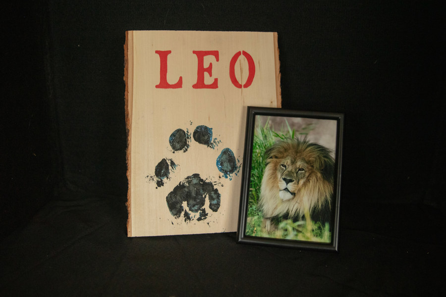 Image of Auction Item