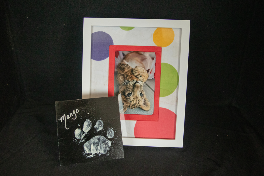 Image of Auction Item