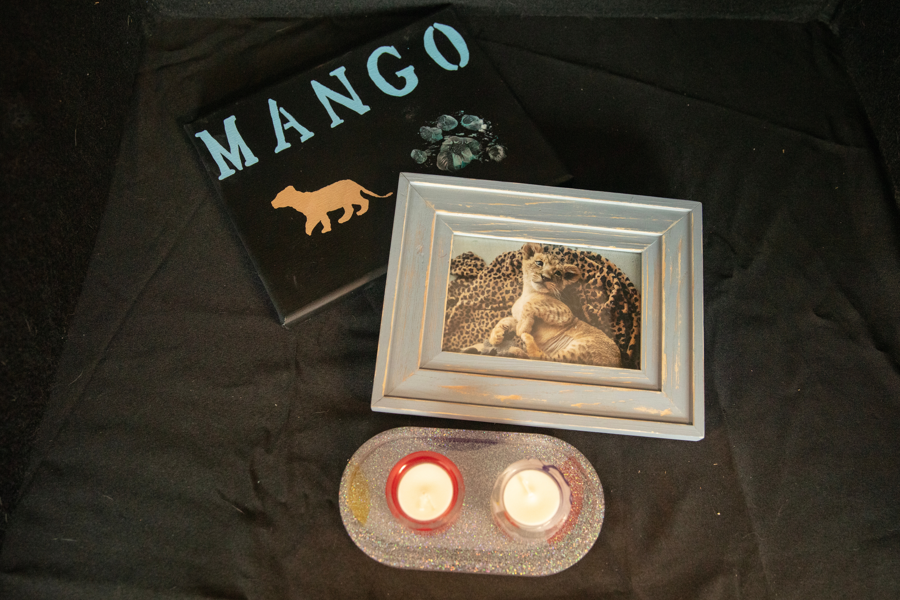 Image of Auction Item