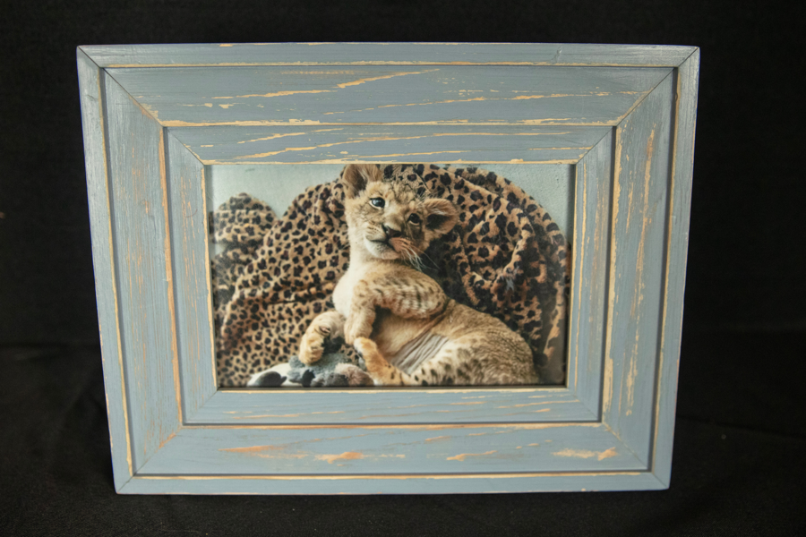 Image of Auction Item