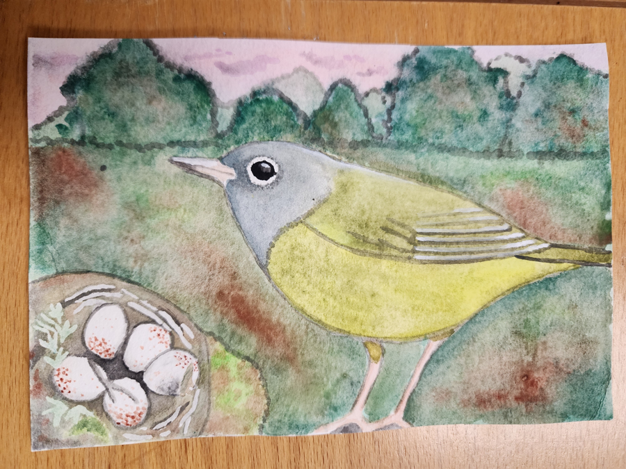 Image of Auction Item