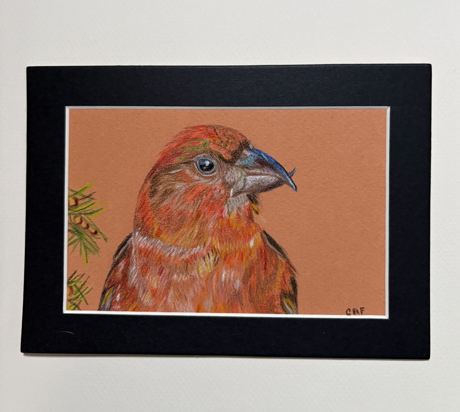 Image of Auction Item