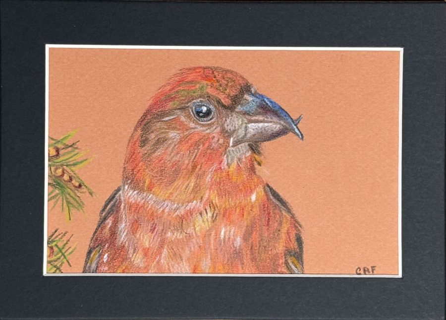 Image of Auction Item