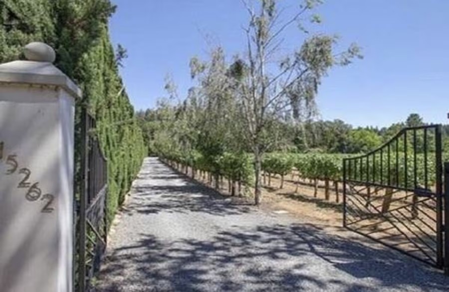 Image of Auction Item