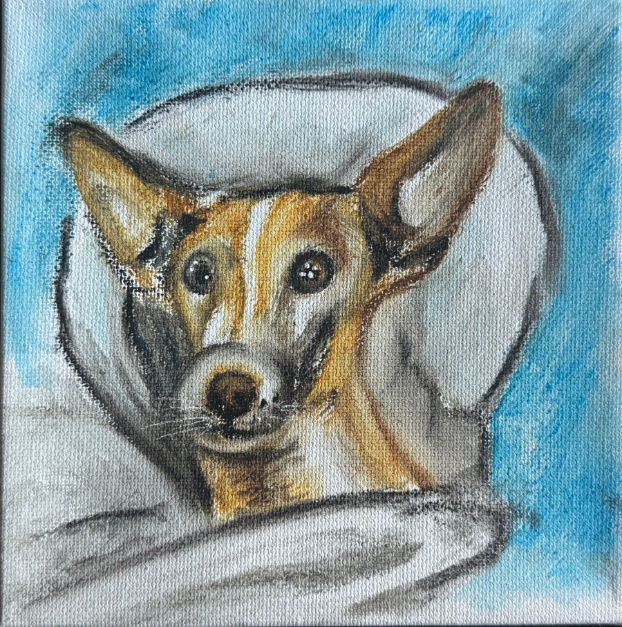 Image of Auction Item