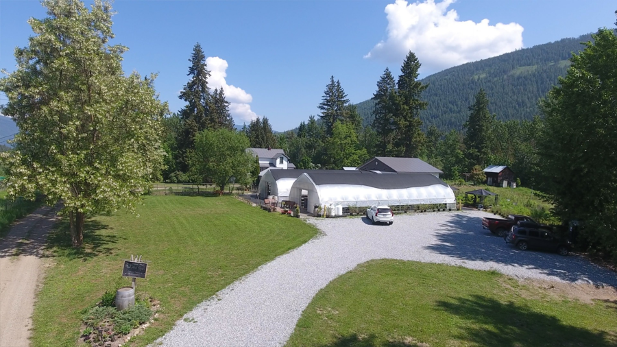 Image of Auction Item