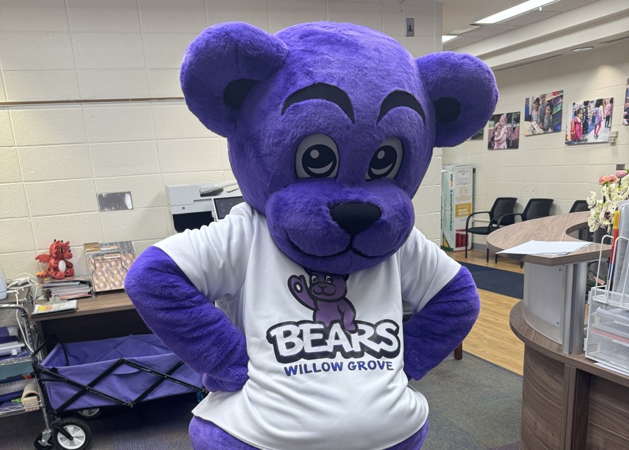 Image of Auction Item