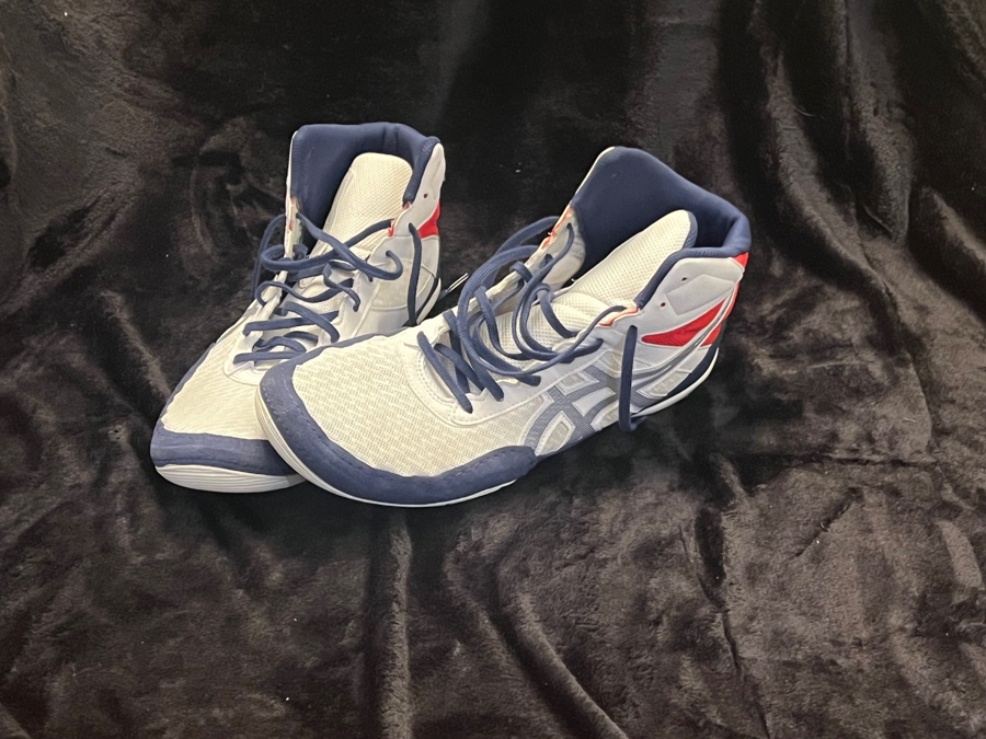 Image of Auction Item