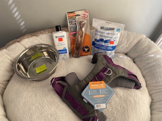 Image of Auction Item