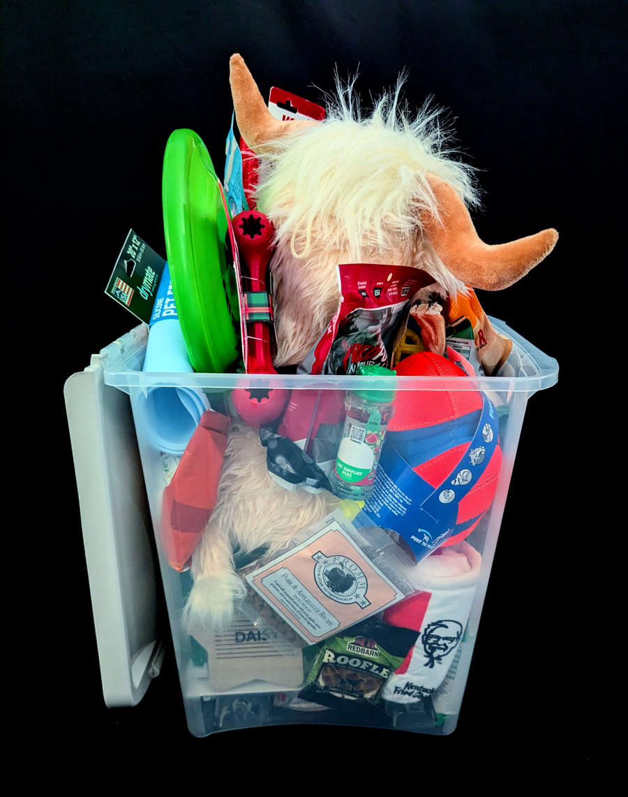 Image of Auction Item