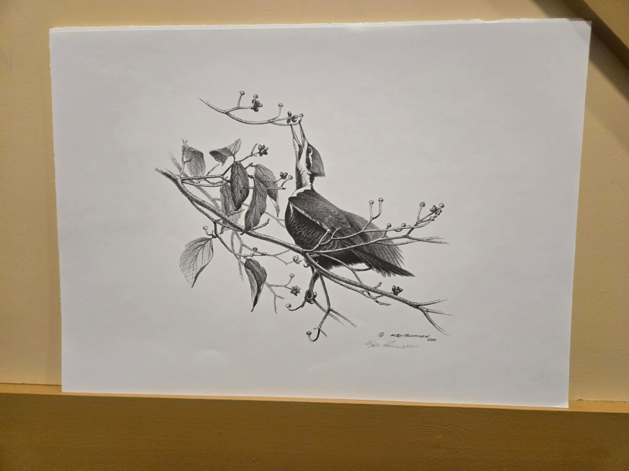 Image of Auction Item