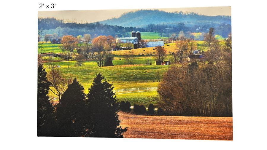 Image of Auction Item