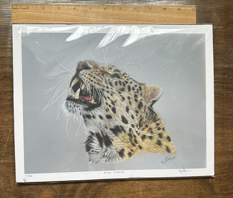 Image of Auction Item