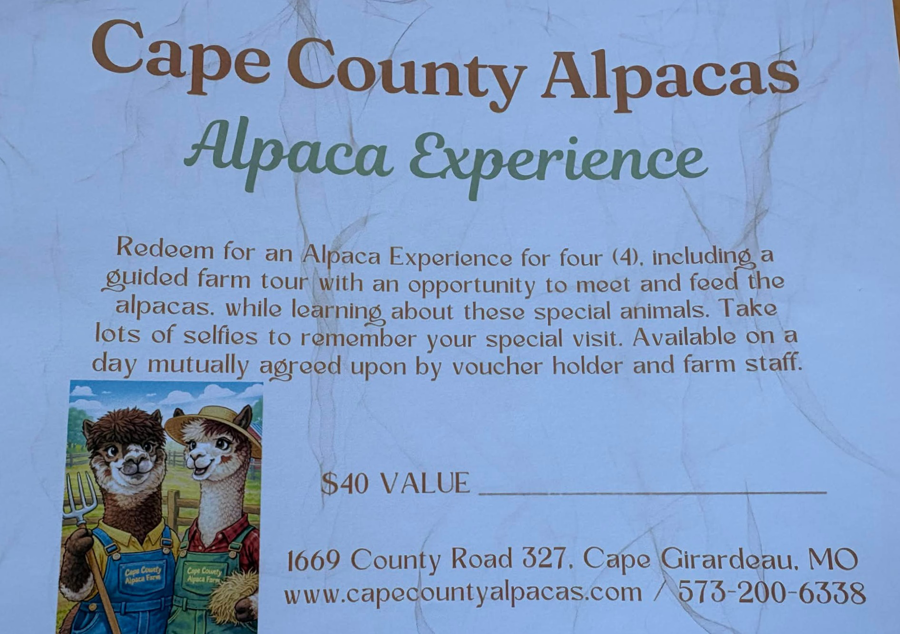 Image of Auction Item