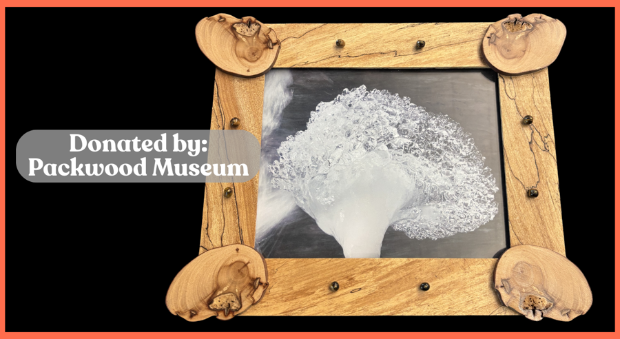 Image of Auction Item