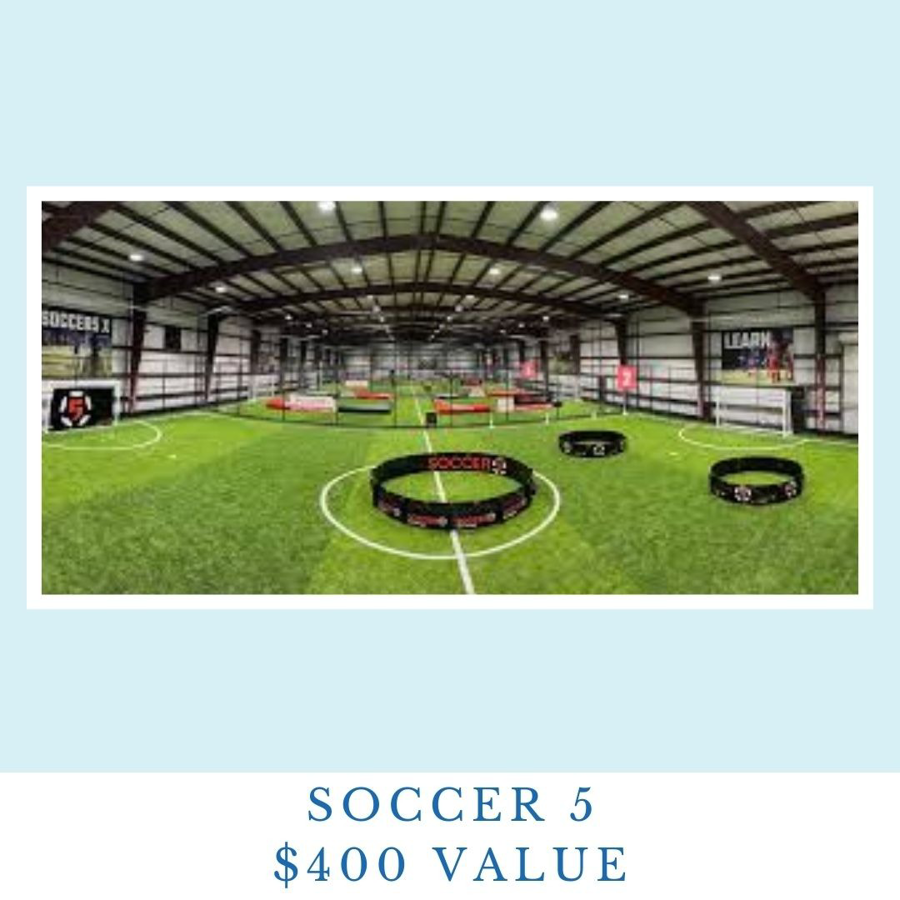 Image of Auction Item