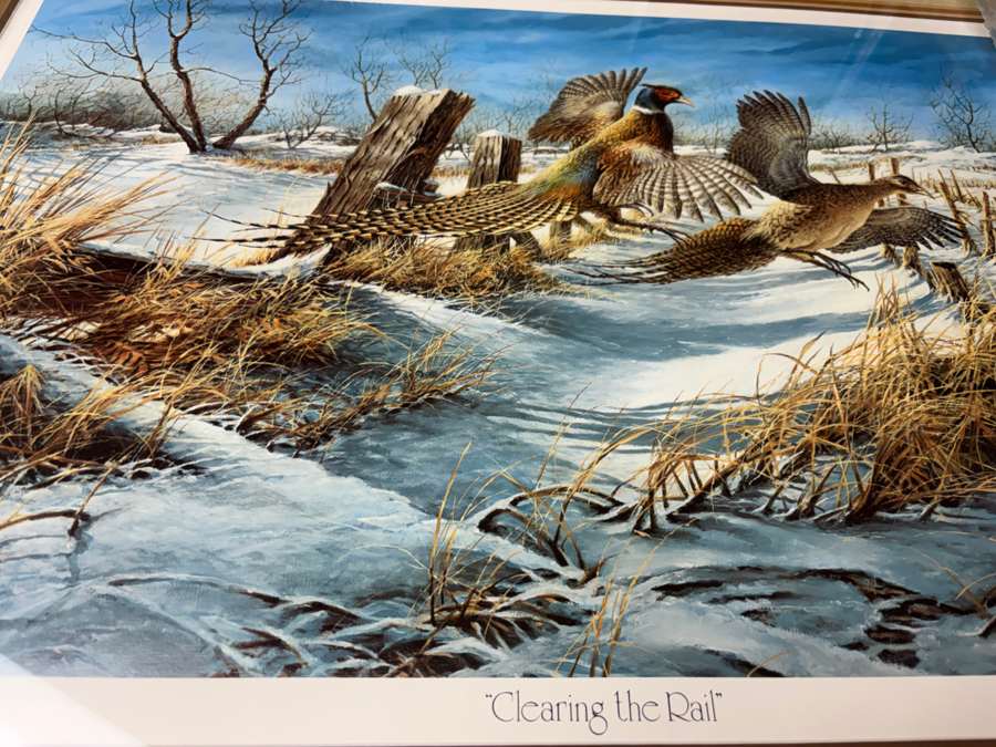 Image of Auction Item