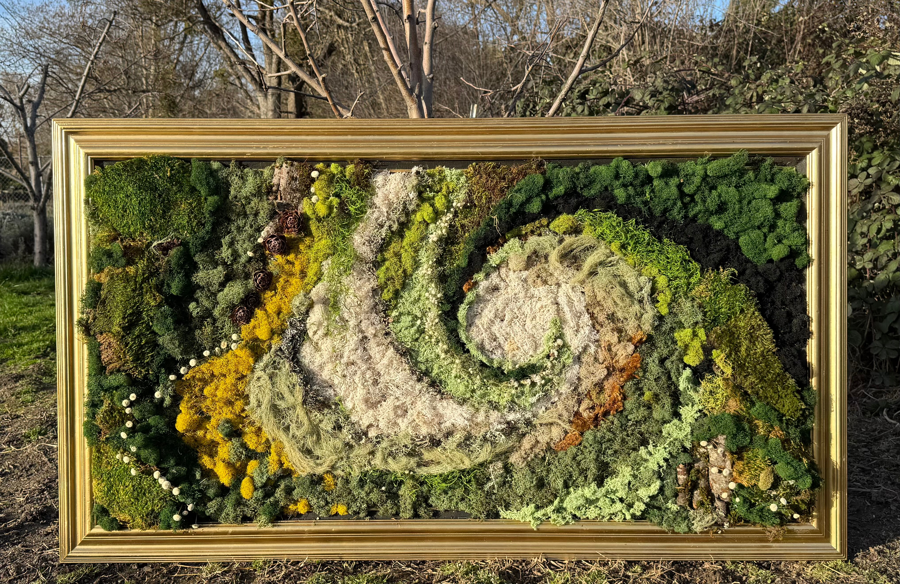 Image of Auction Item