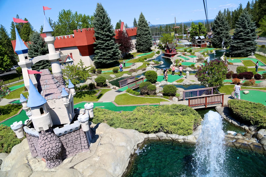 Image of Auction Item