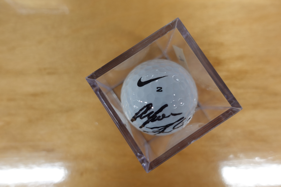 Image of Auction Item