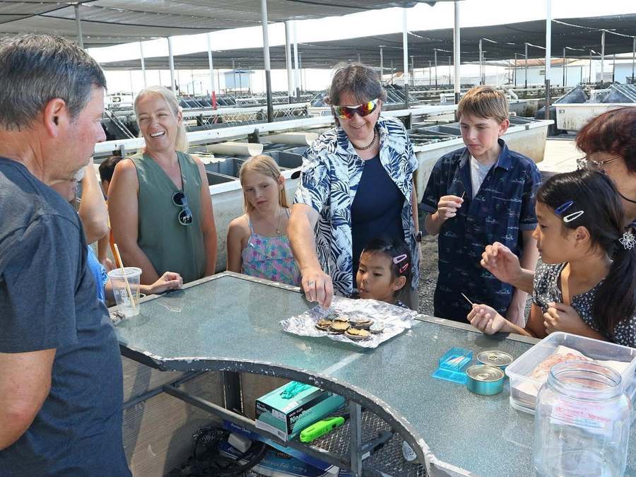 Image of Auction Item