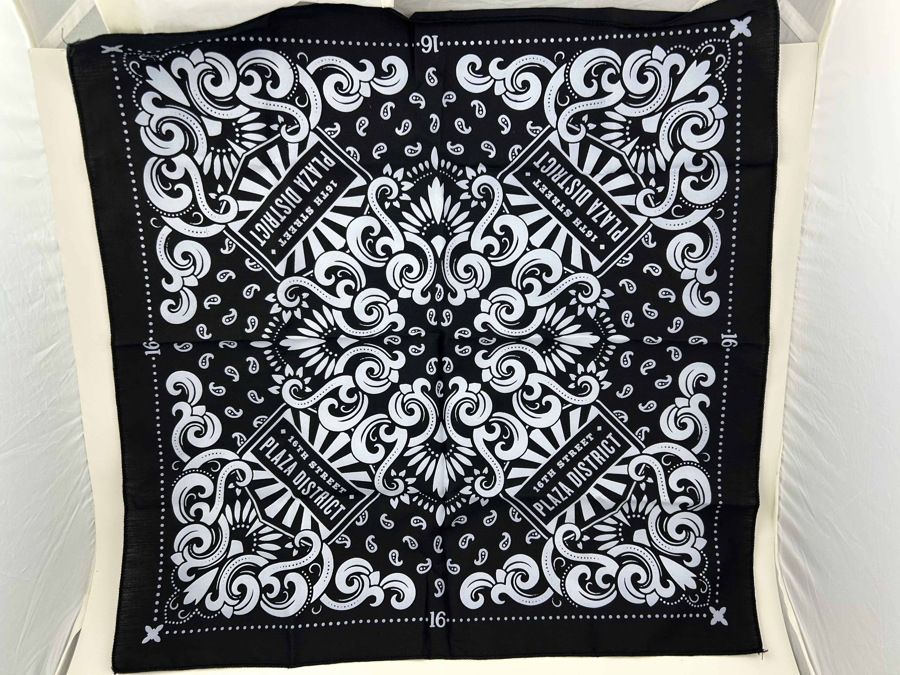 Image of Auction Item