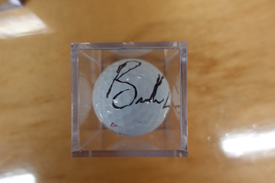 Image of Auction Item