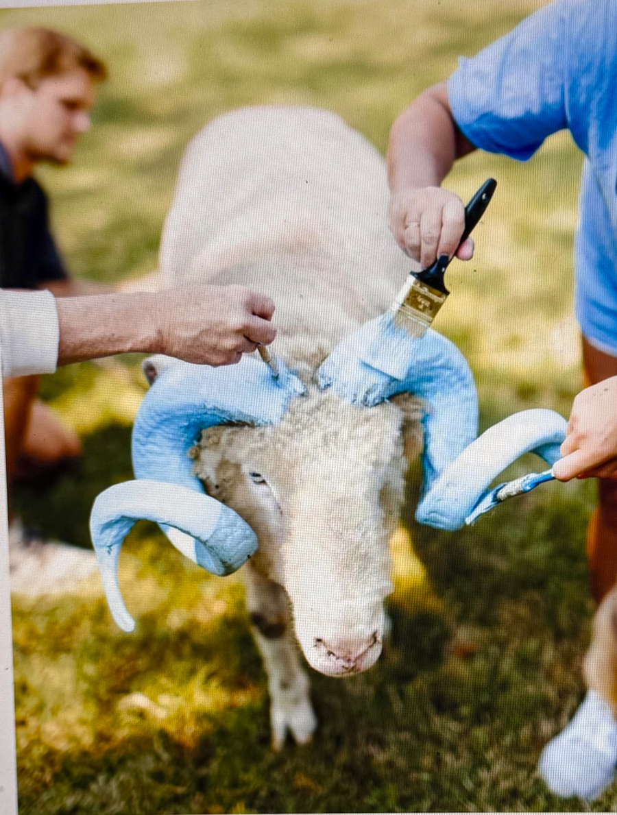 Image of Auction Item