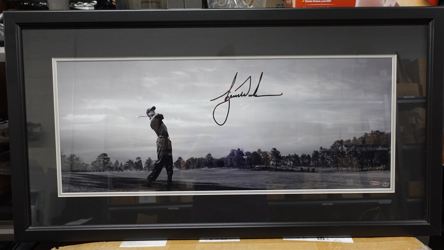 Image of Auction Item