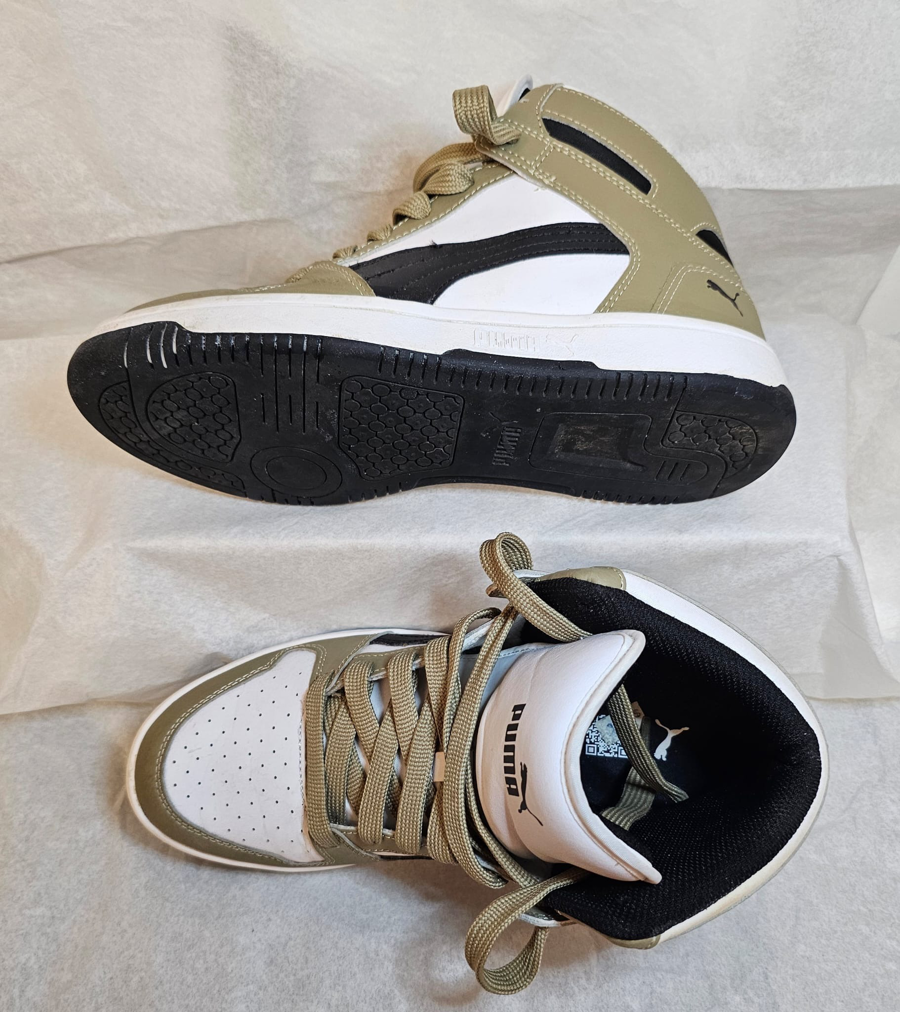 Image of Auction Item